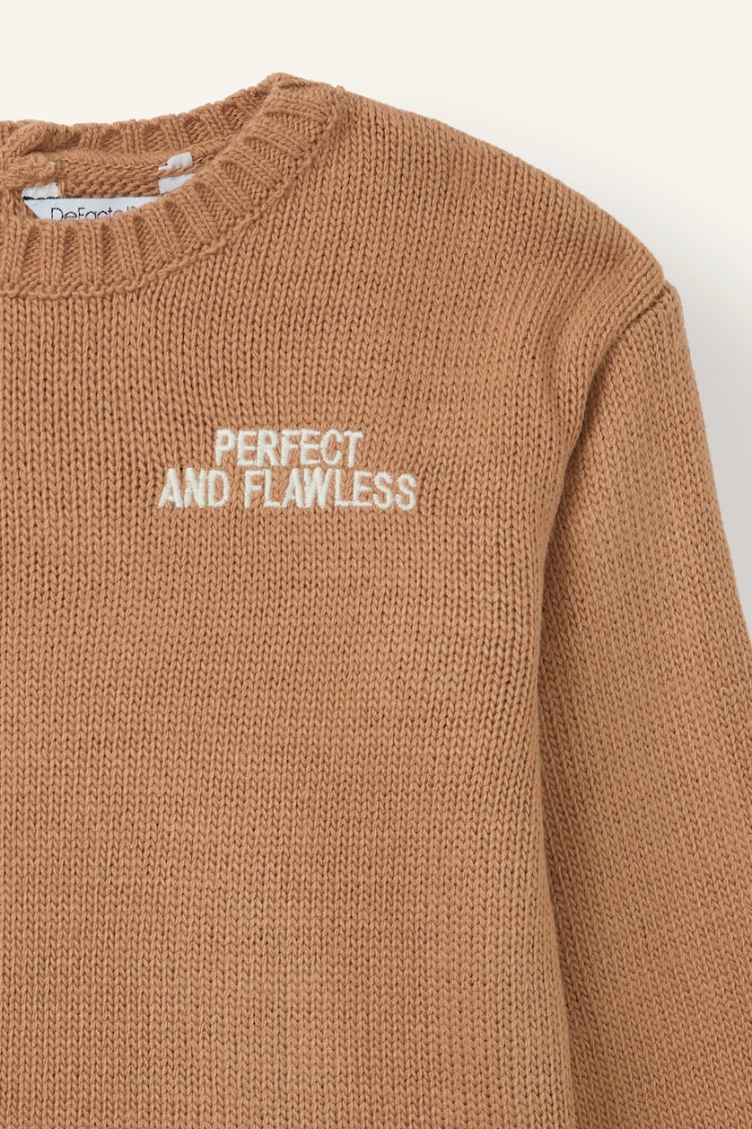 BÉBÉ GARÇON Beige Pull à col rond imprimé Coupe régulière pour bébé garçon