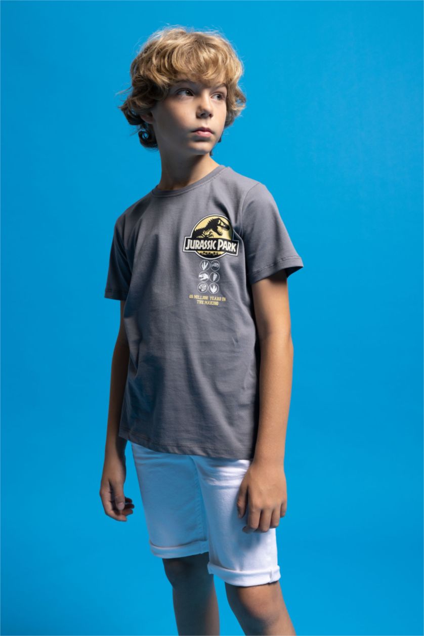أولاد رمادي تي شيرت ولادي قصة عادية بياقة مستديرة من جوراسيك