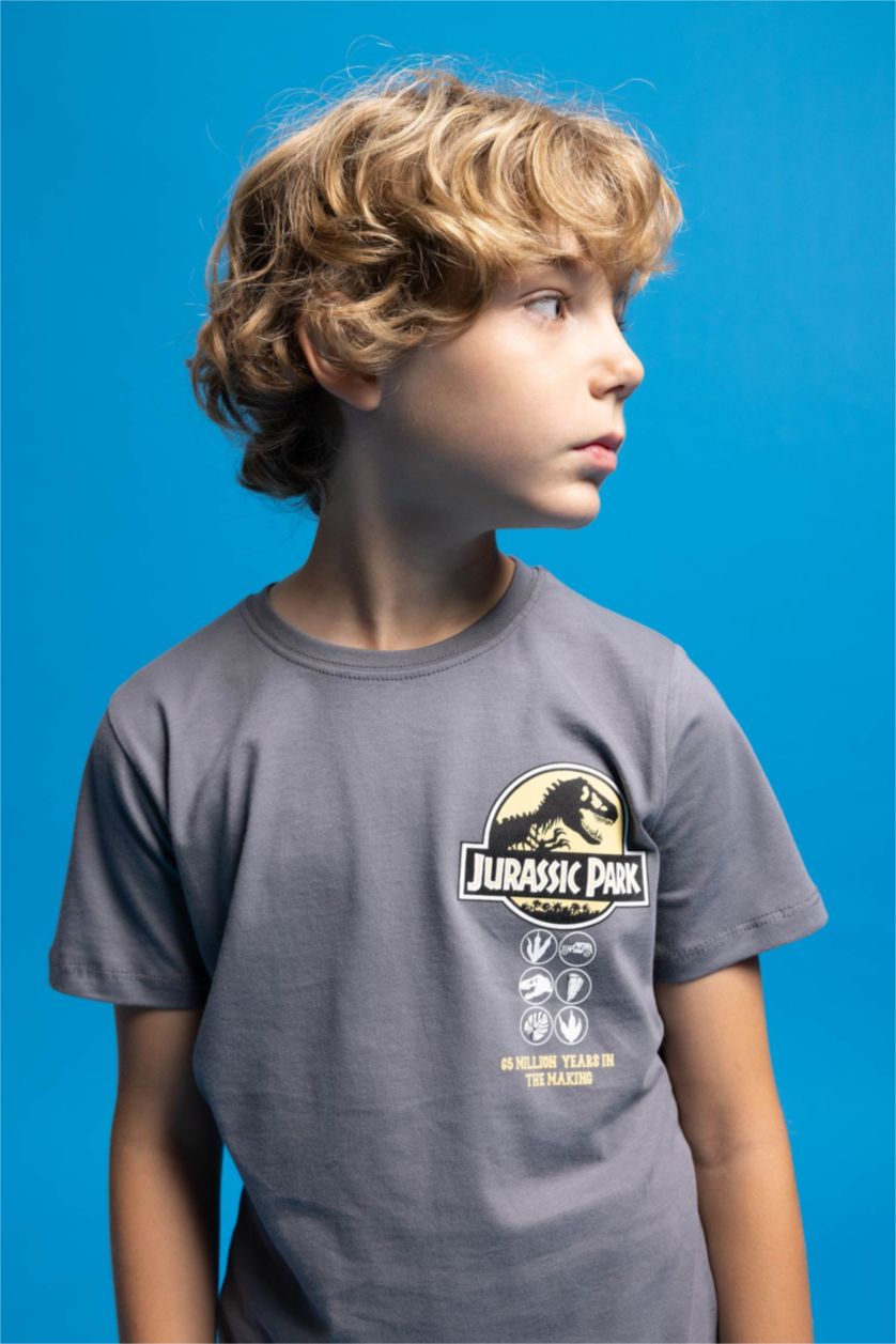 أولاد رمادي تي شيرت ولادي قصة عادية بياقة مستديرة من جوراسيك