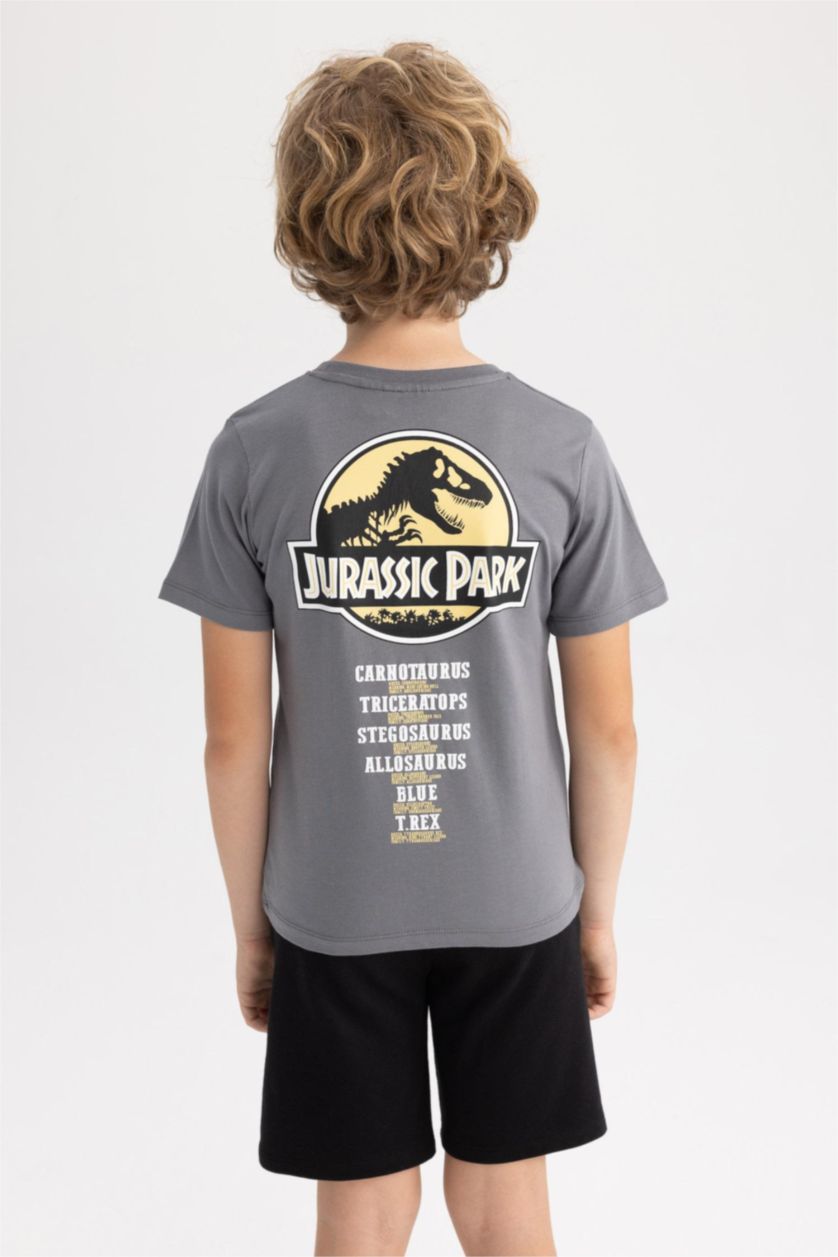 أولاد رمادي تي شيرت ولادي قصة عادية بياقة مستديرة من جوراسيك