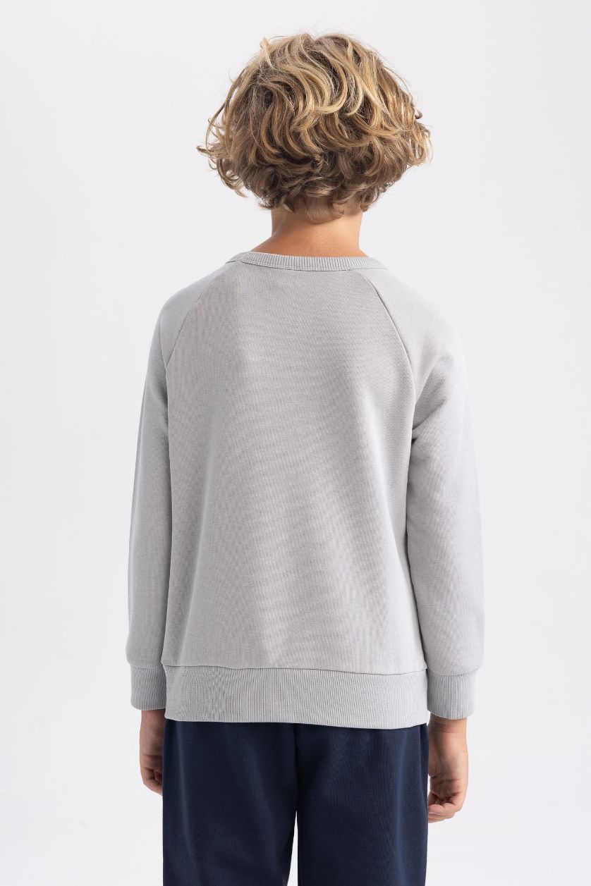 Мальчики и подростки Светло-серый Свитшот с круглым вырезом для мальчиков, Школьная коллекция