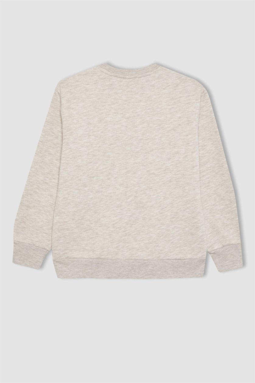 BOYS & TEENS Light Beige Melange Boy Printed Sweatshirt and Sweatpants 2 Piece Set