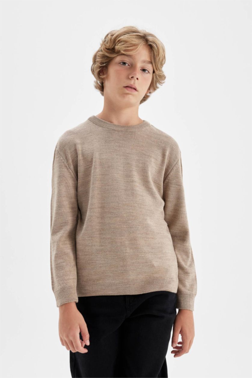 BOYS & TEENS Beige Melange Boy Beige Crew Neck Knitted Basic Pullover