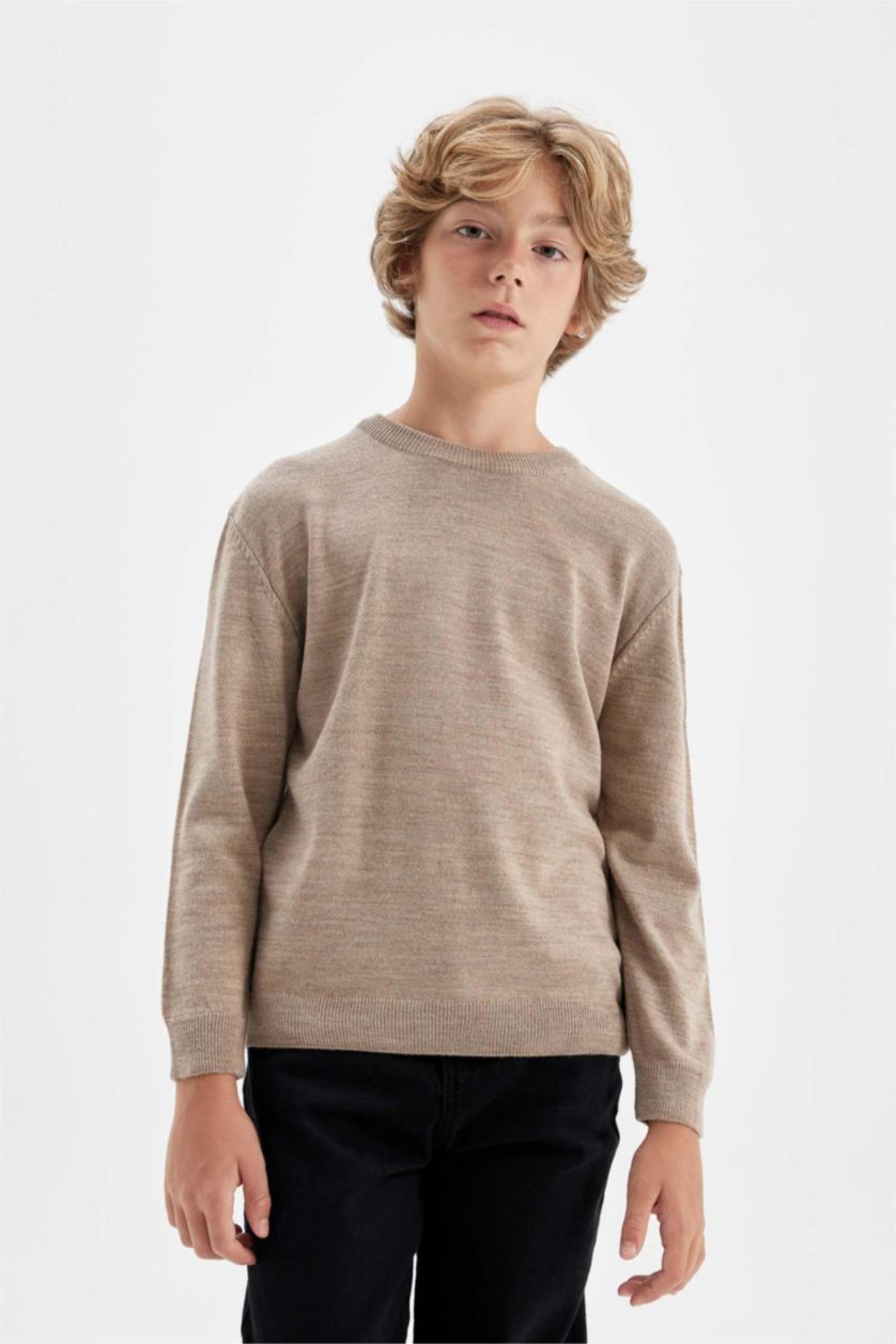 BOYS & TEENS Beige Melange Boy Beige Crew Neck Knitted Basic Pullover