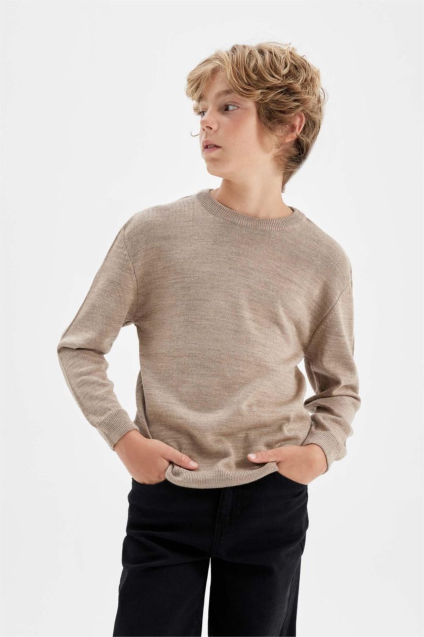 BOYS & TEENS Beige Melange Boy Beige Crew Neck Knitted Basic Pullover
