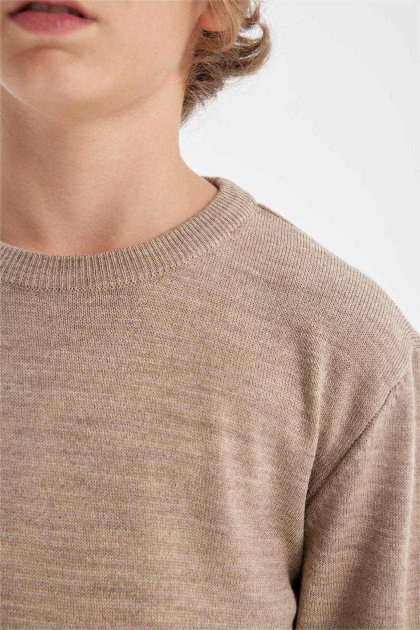 BOYS & TEENS Beige Melange Boy Beige Crew Neck Knitted Basic Pullover