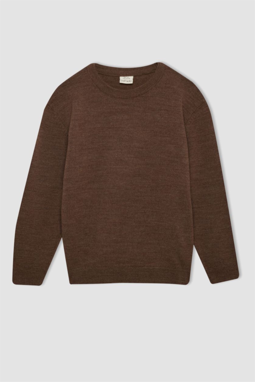BOYS & TEENS Brown Melange Boy Brown Crew Neck Basic Knitted Pullover