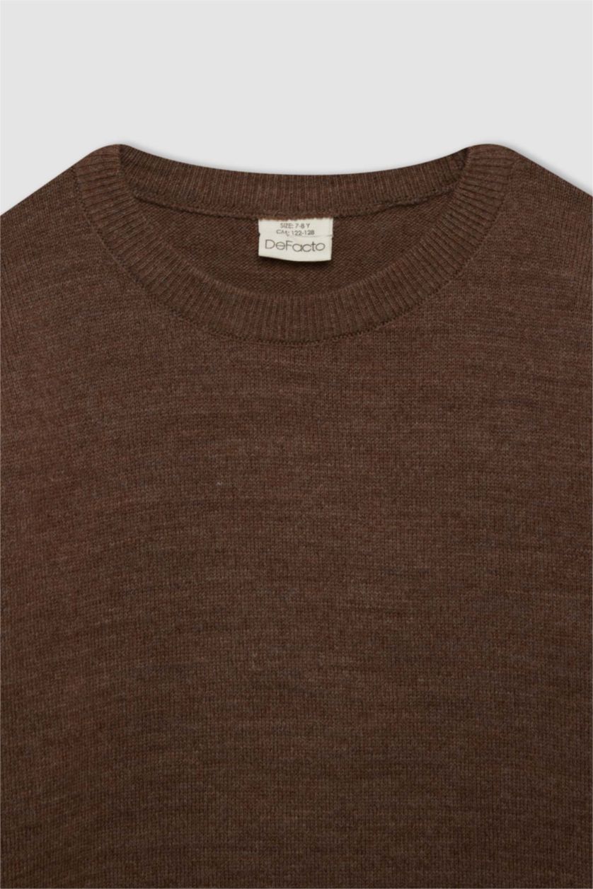 BOYS & TEENS Brown Melange Boy Brown Crew Neck Basic Knitted Pullover