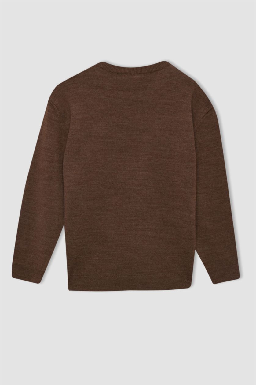 BOYS & TEENS Brown Melange Boy Brown Crew Neck Basic Knitted Pullover