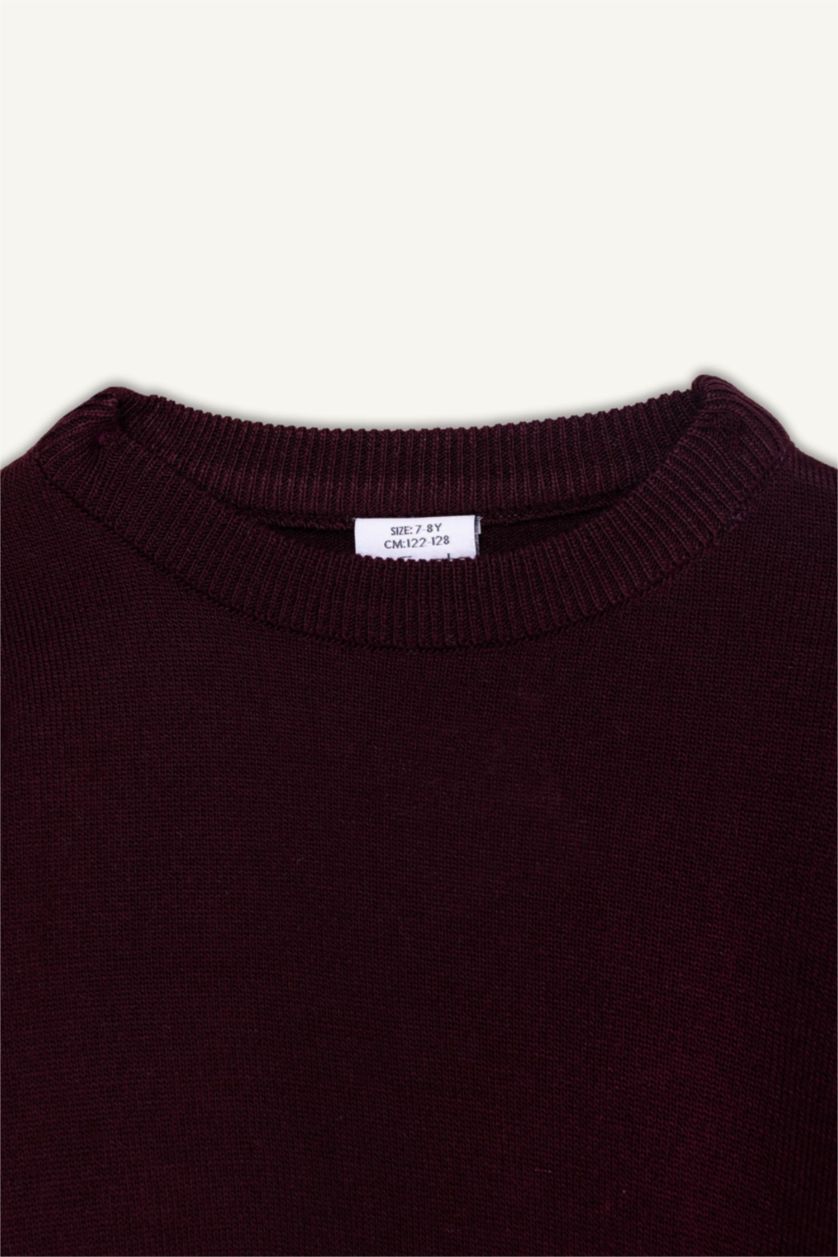 BOYS & TEENS Bordeaux Boy Regular Fit Crew Neck Knit Pullover
