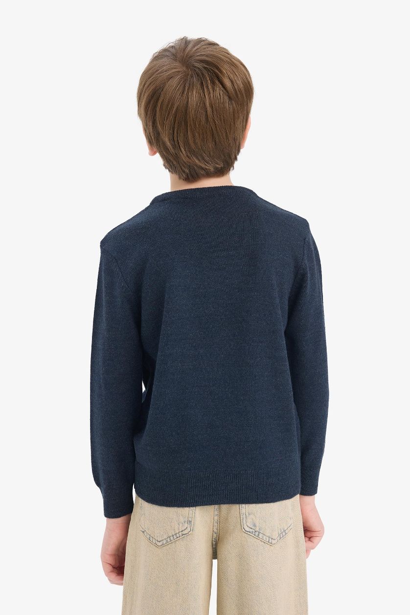 Boys & Teens Navy Melange Boy Regular Fit Crew Neck Knit Pullover