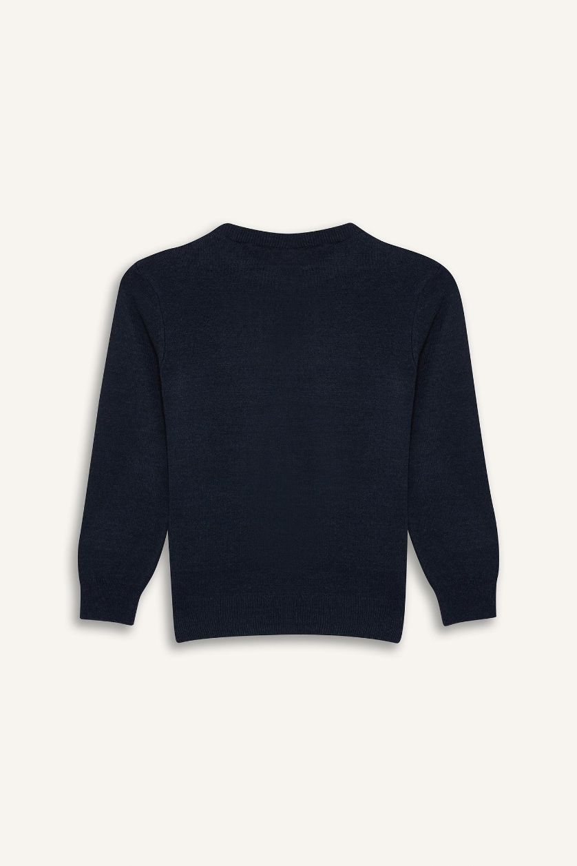 Boys & Teens Navy Melange Boy Regular Fit Crew Neck Knit Pullover