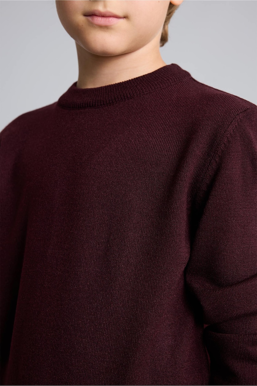 Young Boys - Teen Boys Bordeaux Boy Regular Fit Crew Neck Pullover