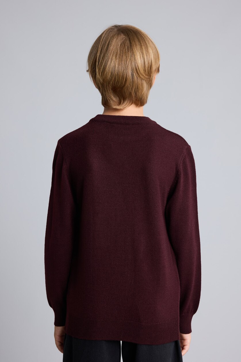 Young Boys - Teen Boys Bordeaux Boy Regular Fit Crew Neck Pullover