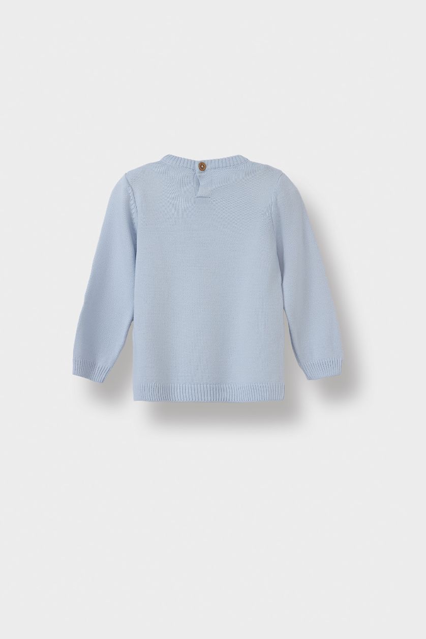 مولود ذكر أزرق بلوفر قصة عادية بياقة مستديرة