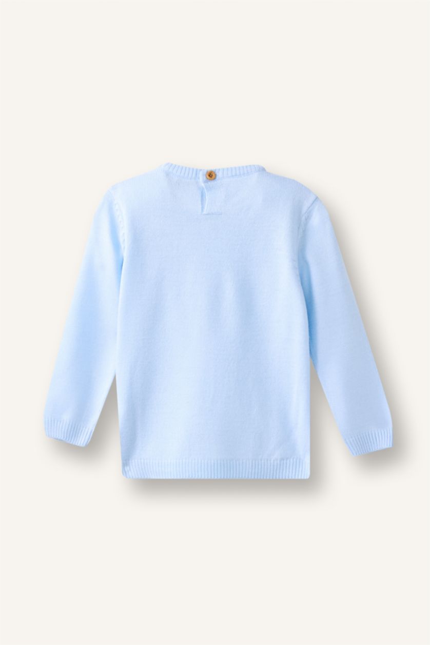 Baby Boy Blue Baby Boy Regular Fit Crew Neck Pullover