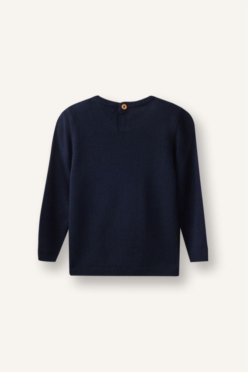 Baby Boy NAVY Baby Boy Regular Fit Crew Neck Pullover