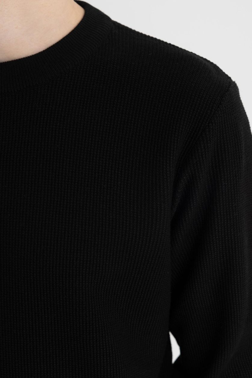 Erkek Siyah Siyah Standart Fit Normal Kesim Pamuklu Bisiklet Yaka Triko Kazak