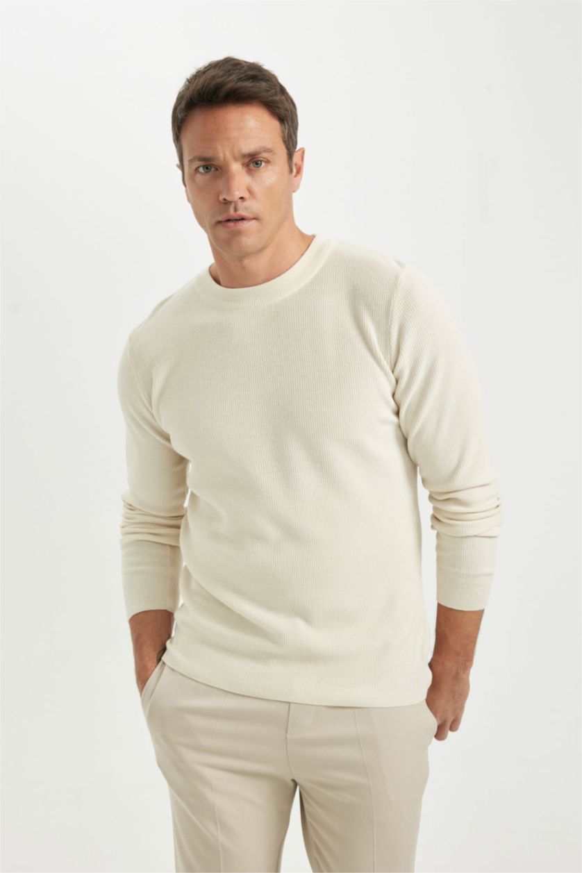 Erkek Ekru Standart Fit Normal Kesim Pamuklu Bisiklet Yaka Triko Kazak