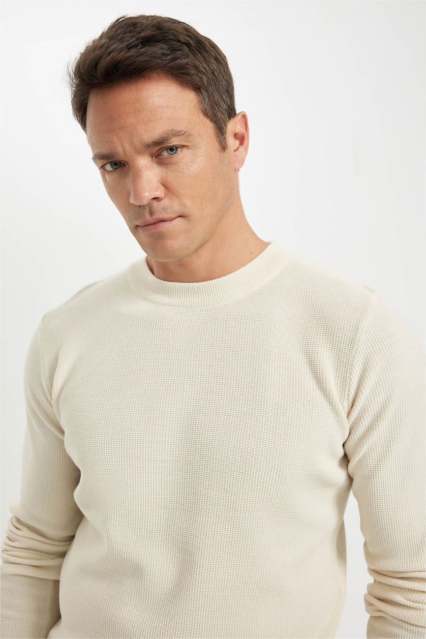 Erkek Ekru Standart Fit Normal Kesim Pamuklu Bisiklet Yaka Triko Kazak