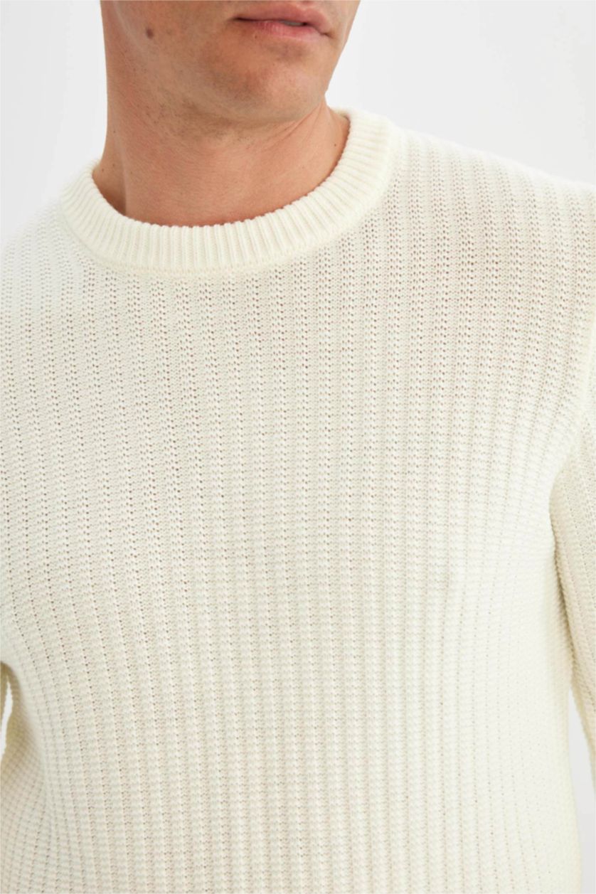 Erkek Ekru Standart Fit Normal Kesim Bisiklet Yaka Jakarlı Triko Kazak