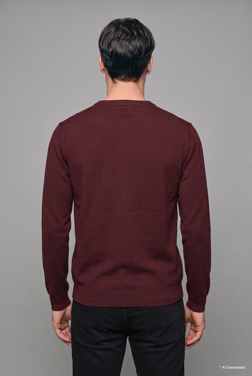 Men Bordeaux Pullover