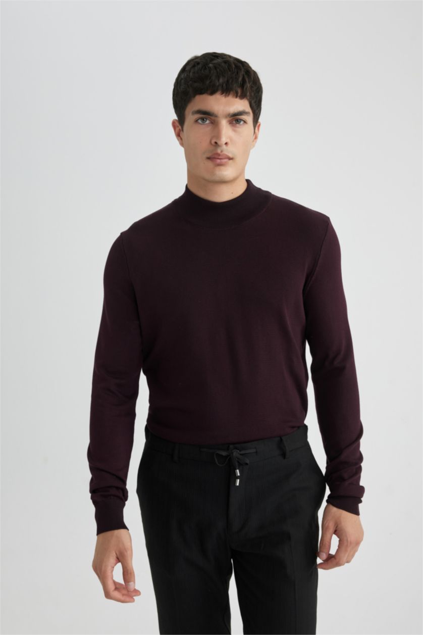 HOMME Bordeaux Pull Tricot Coupe Régulière Demi-Col roulé