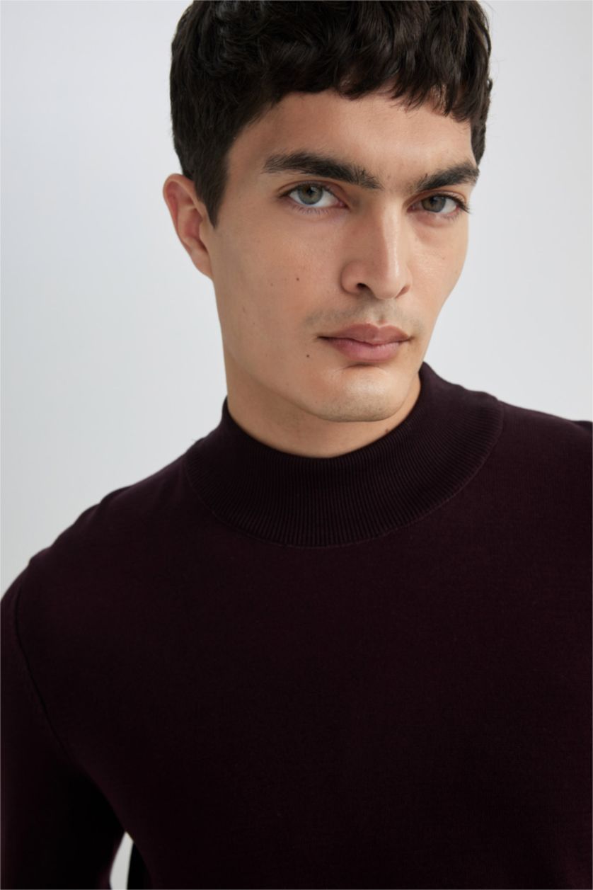 HOMME Bordeaux Pull Tricot Coupe Régulière Demi-Col roulé