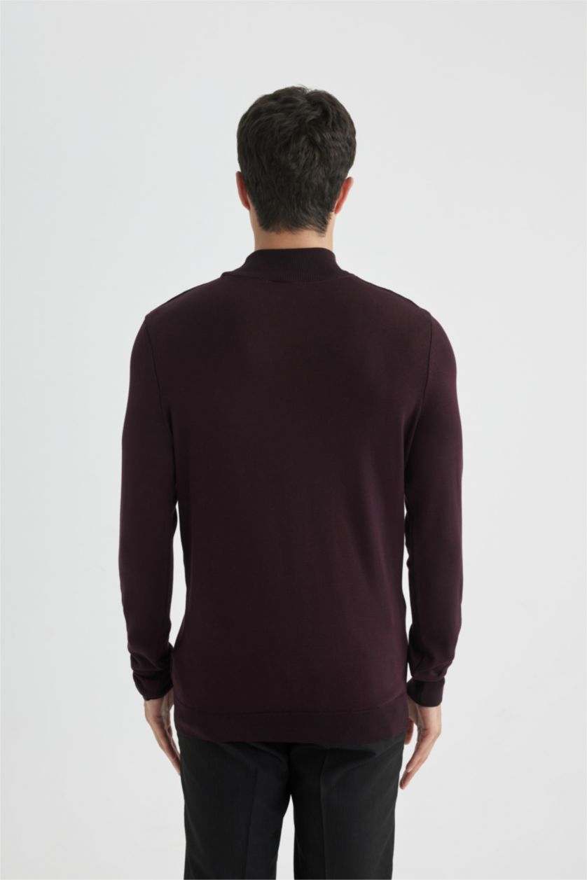 HOMME Bordeaux Pull Tricot Coupe Régulière Demi-Col roulé