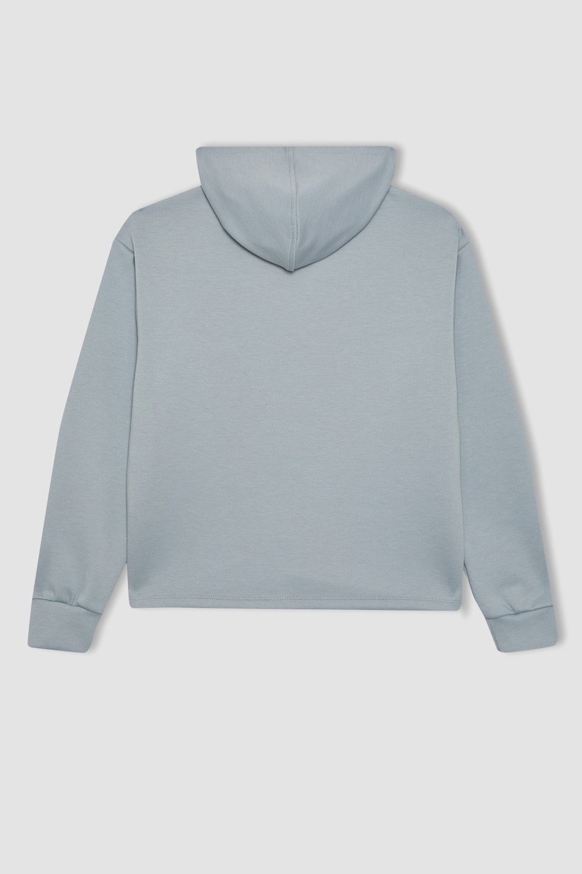 نساء رمادي فاتح Standard Fit Scuba Fabric Sweatshirt