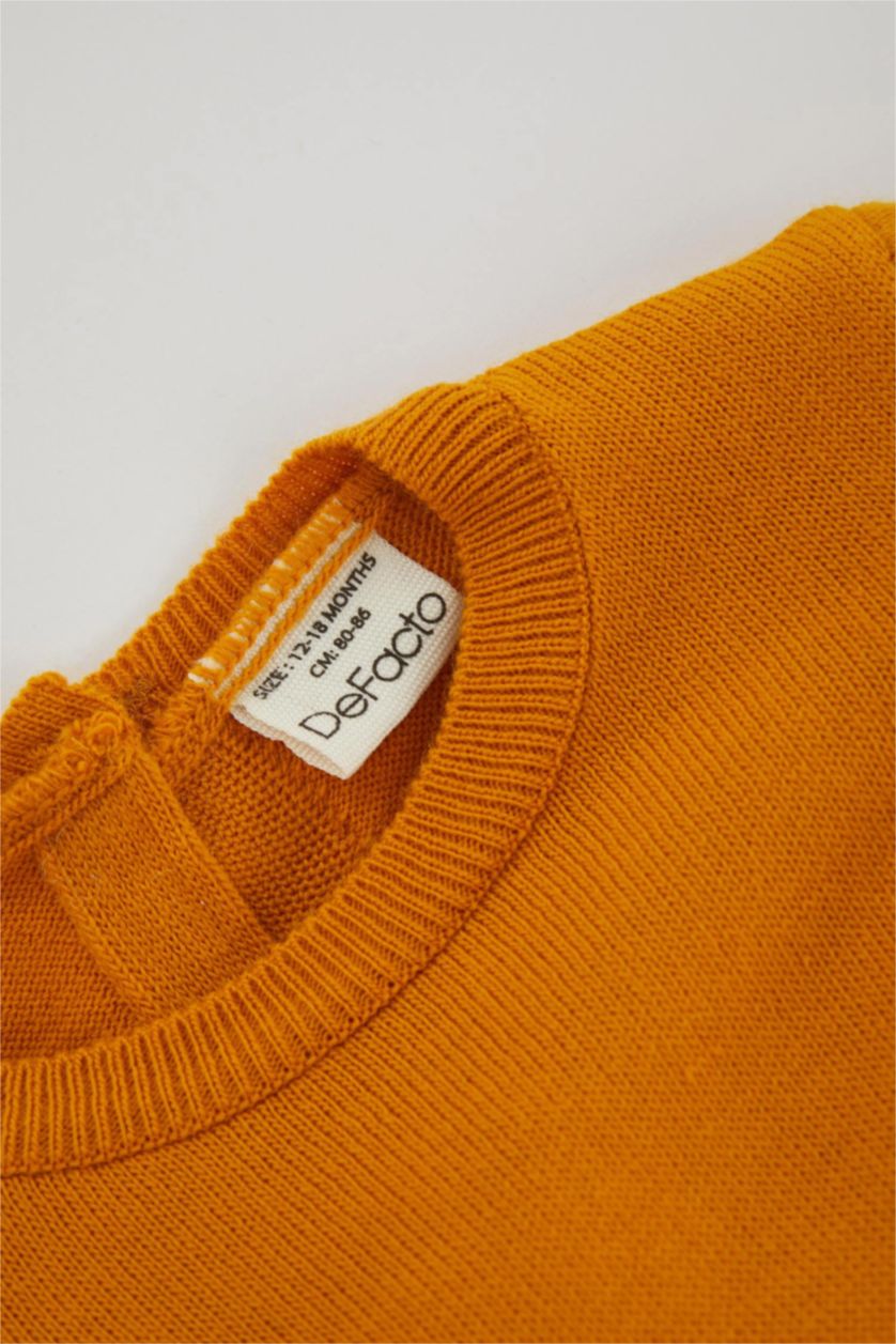 BABY GIRL Dark Yellow Regular Fit Long Sleeve Dress