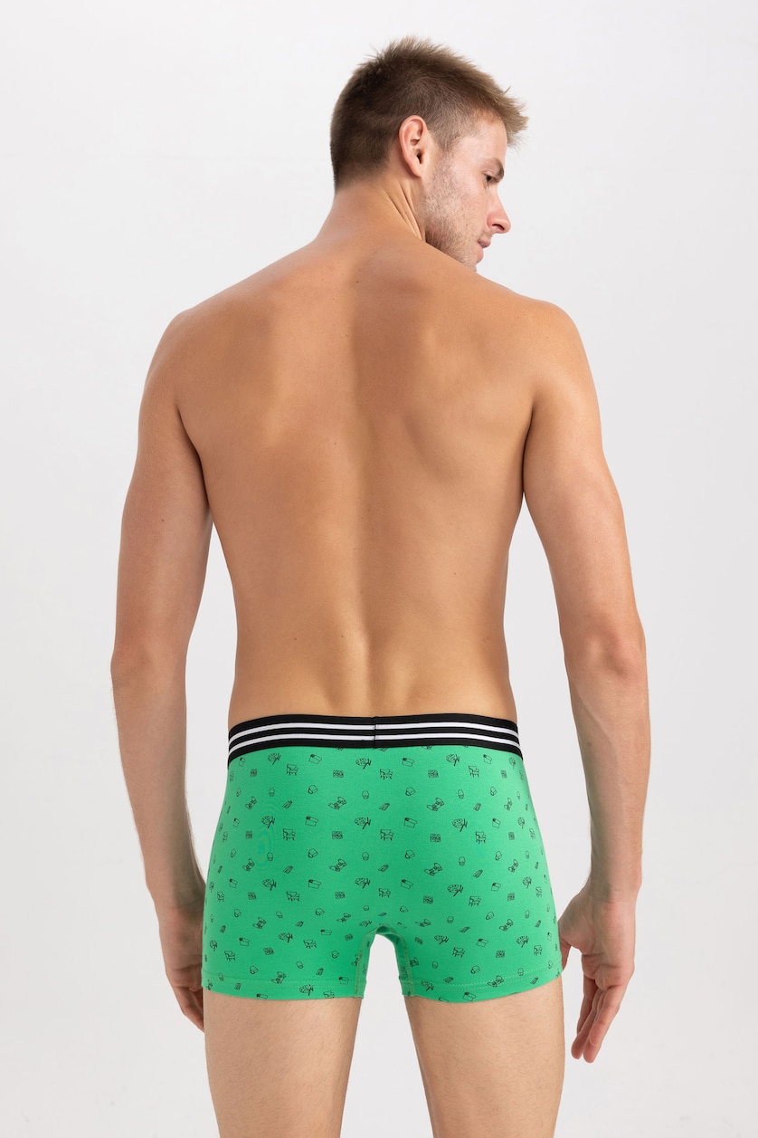 Men Green Regular Fit