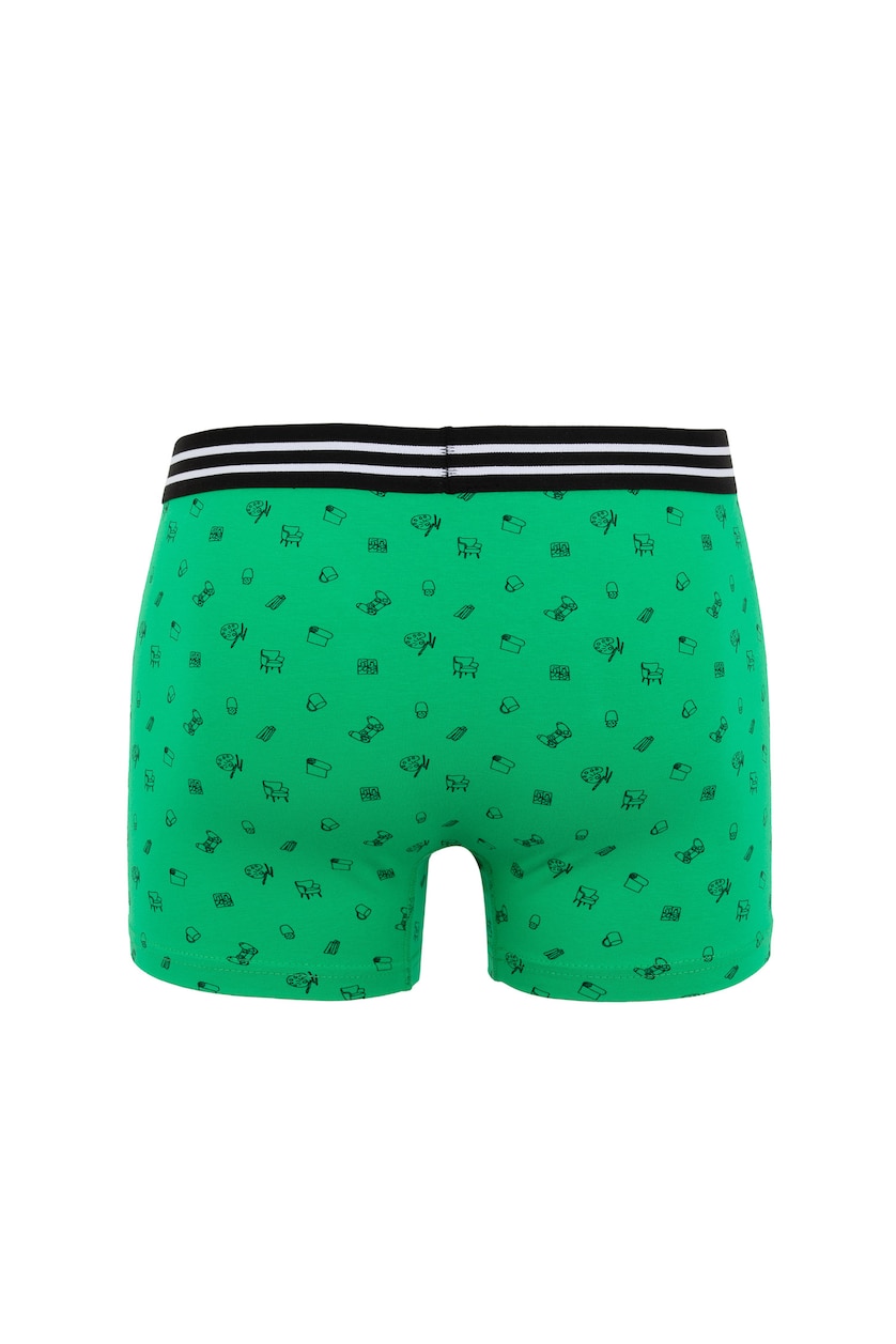 Men Green Regular Fit