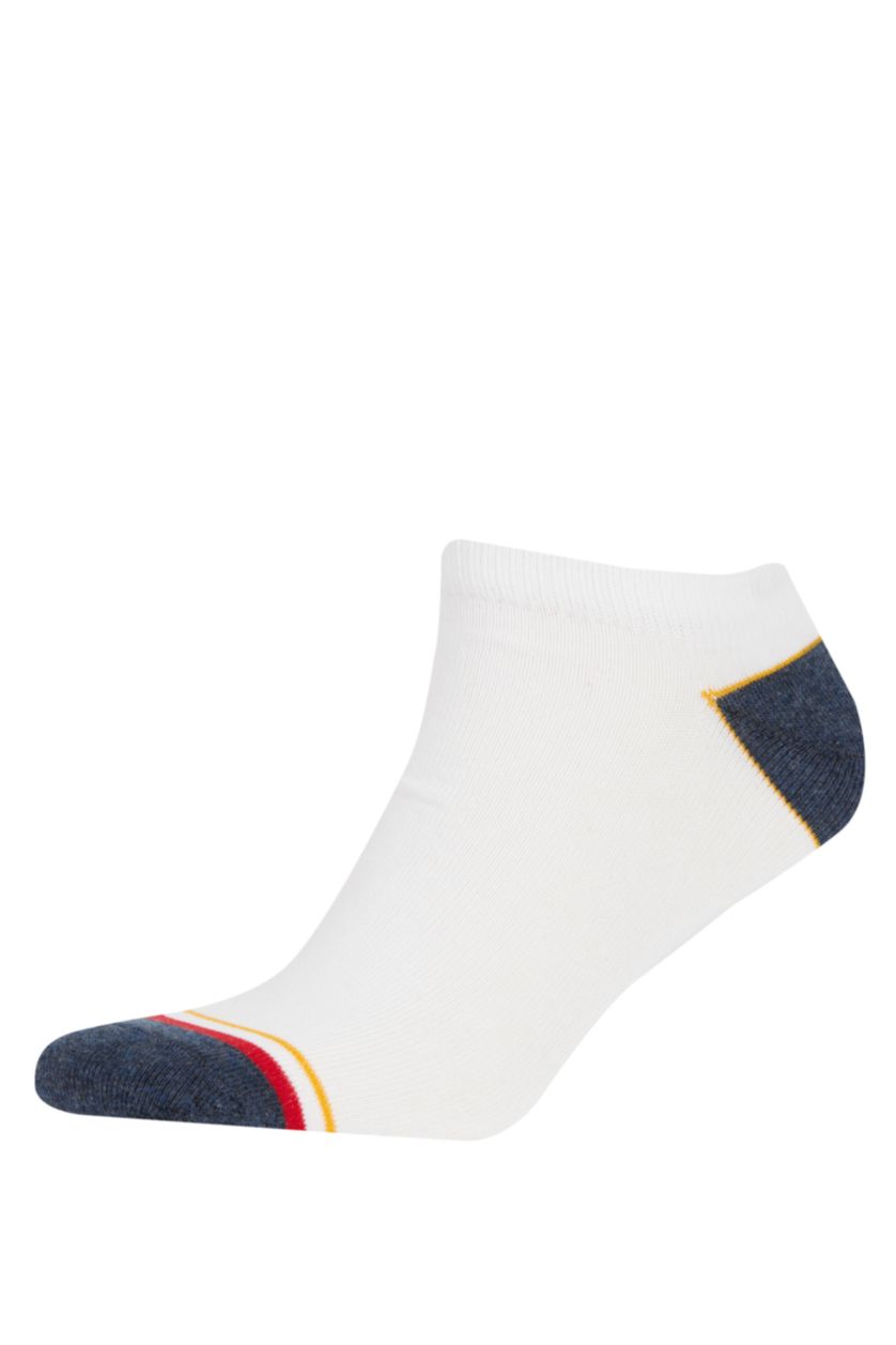 Erkek Karma Erkek 5'li Pamuklu Patik Çorap