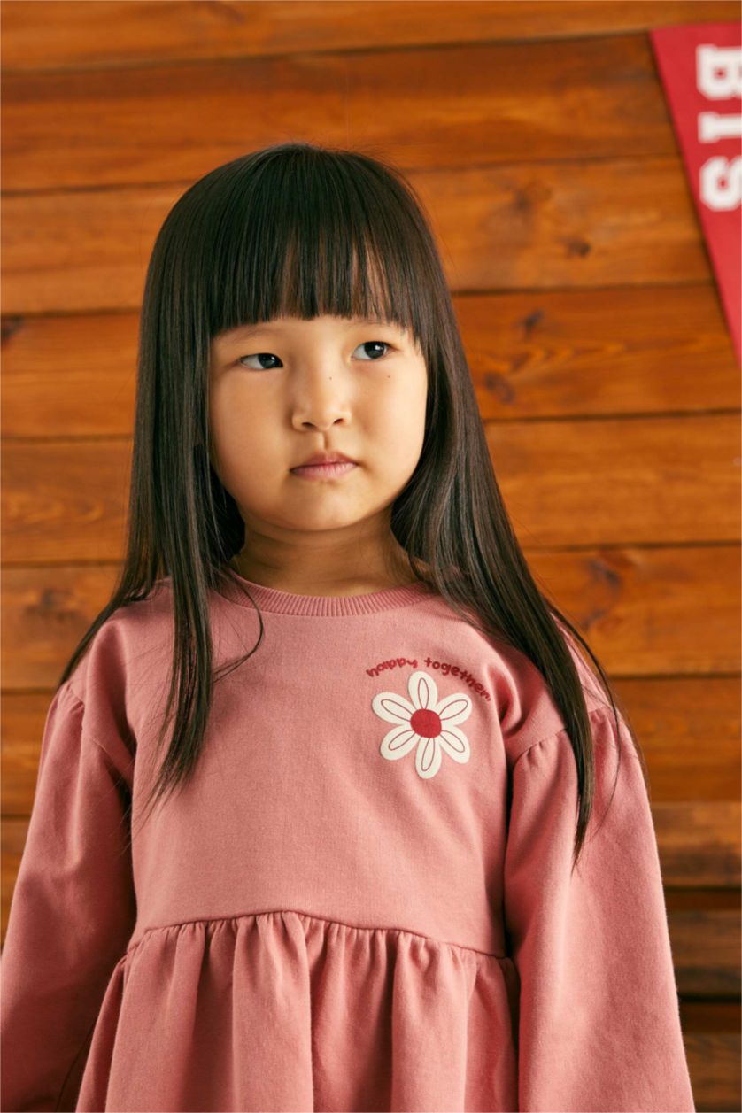 BABY GIRL Rose Regular Fit Flower Long Sleeve Knitted Dress