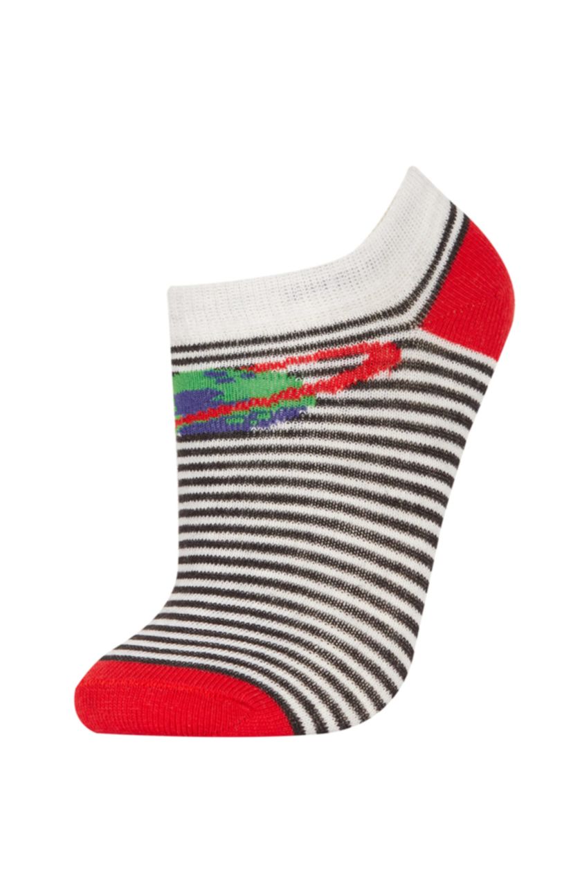 Erkek Çocuk - Genç Erkek Karma Erkek Çocuk 5'li Pamuklu Patik Çorap