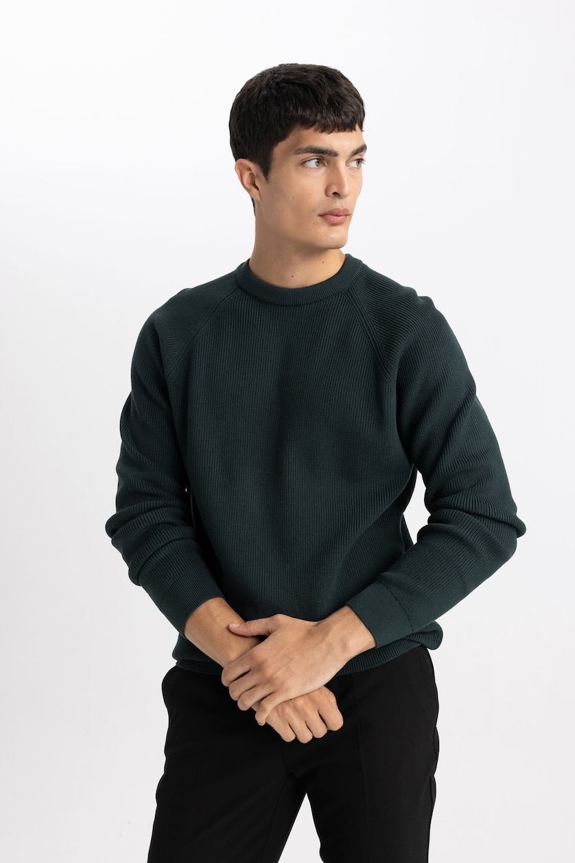 رجال أخضر غامق Standard Fit Knitwear Pullover