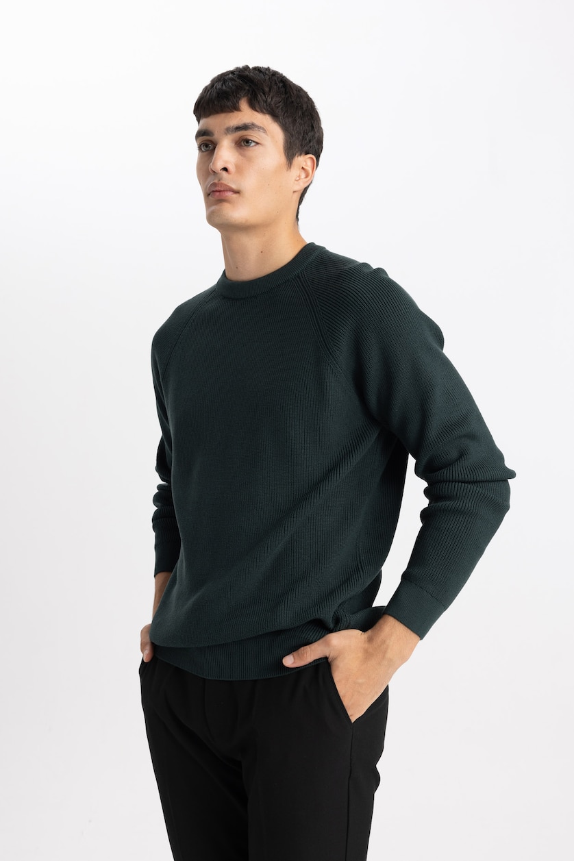 رجال أخضر غامق Standard Fit Knitwear Pullover