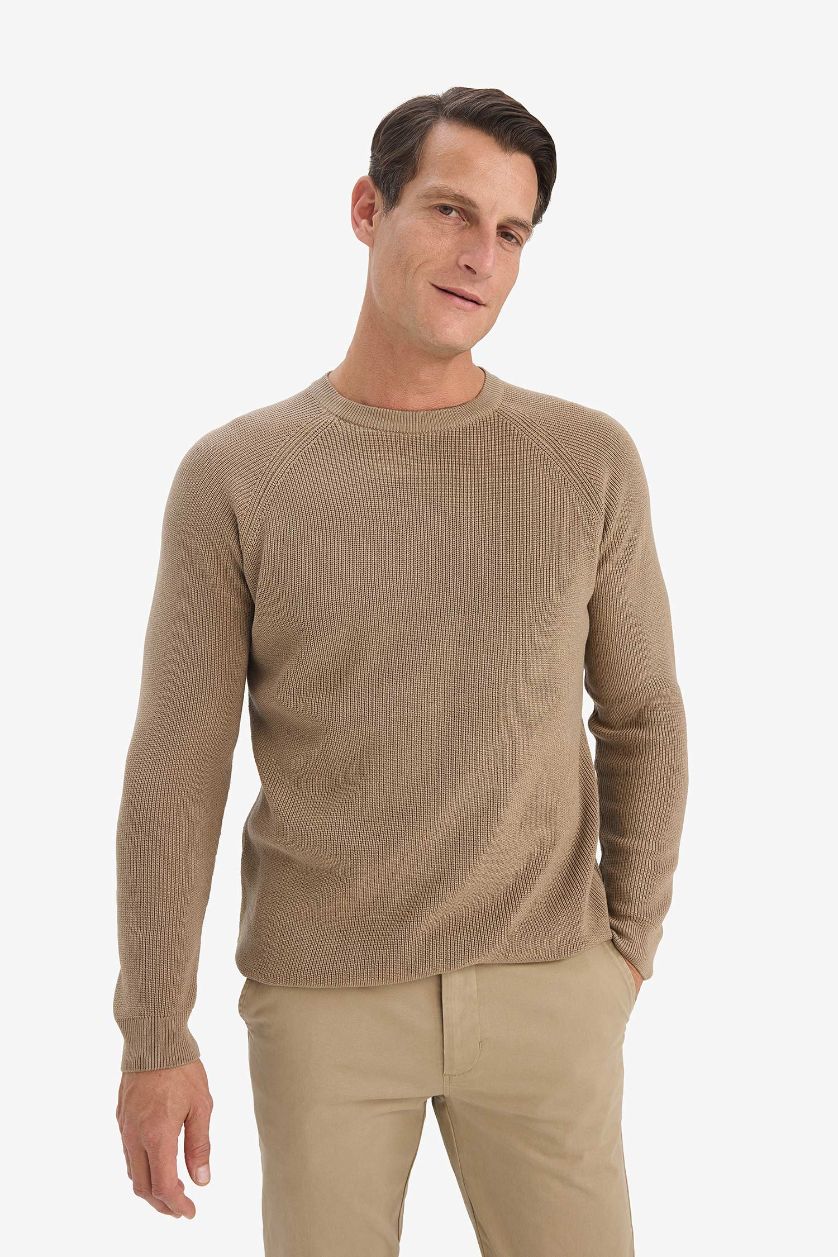 Erkek Bej Standart Fıt Bisiklet Yaka Triko Kazak