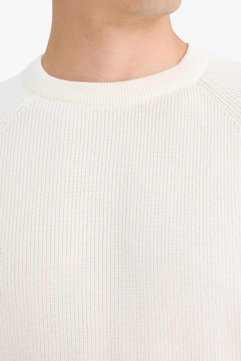 HOMME Écru Pull en maille à col rond Coupe standard