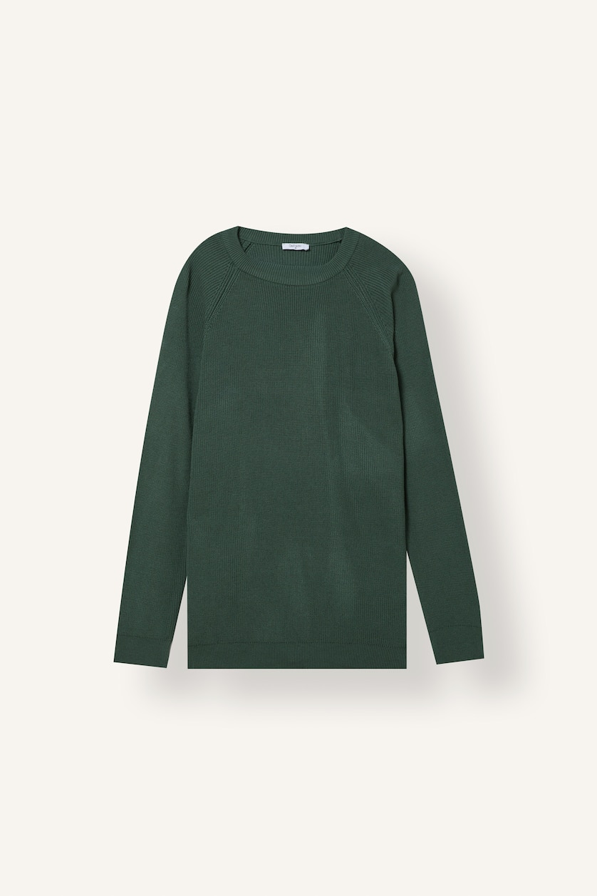 HOMME Vert Pull en tricot basic à col rond et manches longues Coupe standard