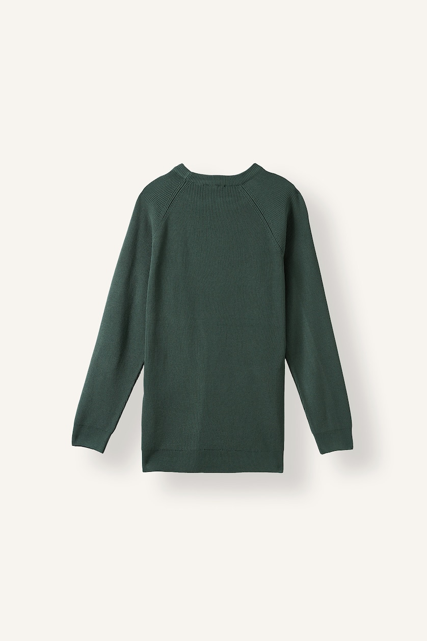 Men Green Standard Fit Knitwear Pullover