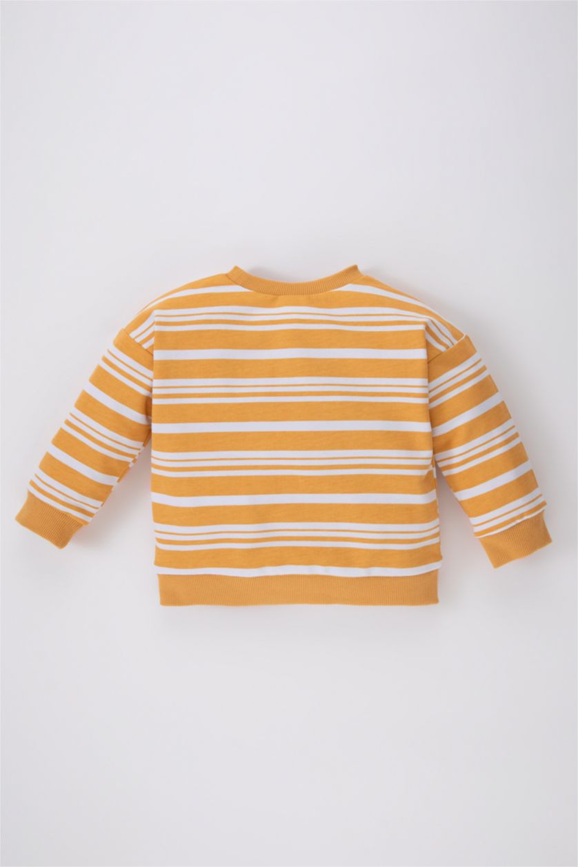 BABY BOY White Regular Fit Striped Crew Neck Sweatshirt
