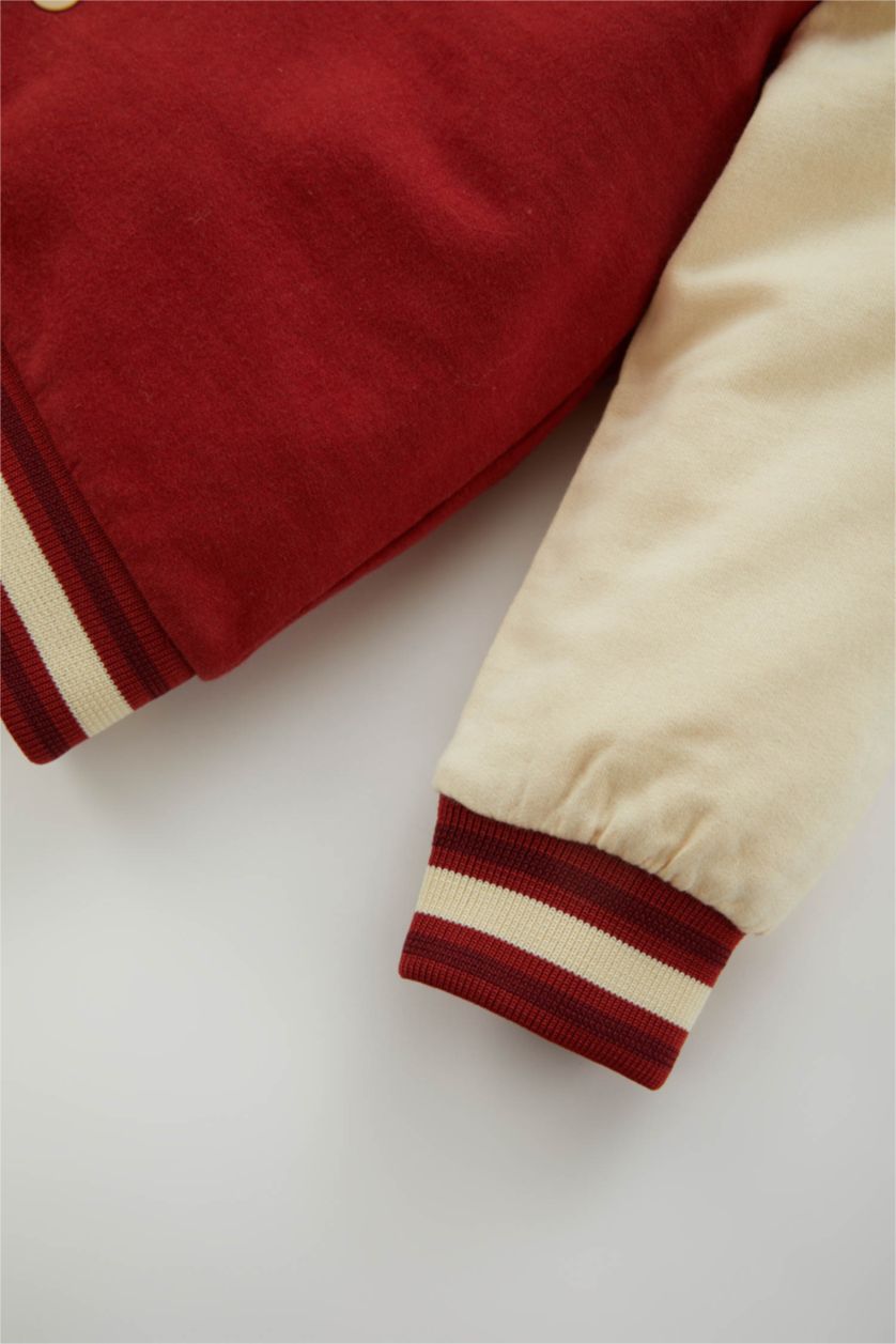 طفلة صغيرة خمري كارديجان بومبر بناتي قصة عادية