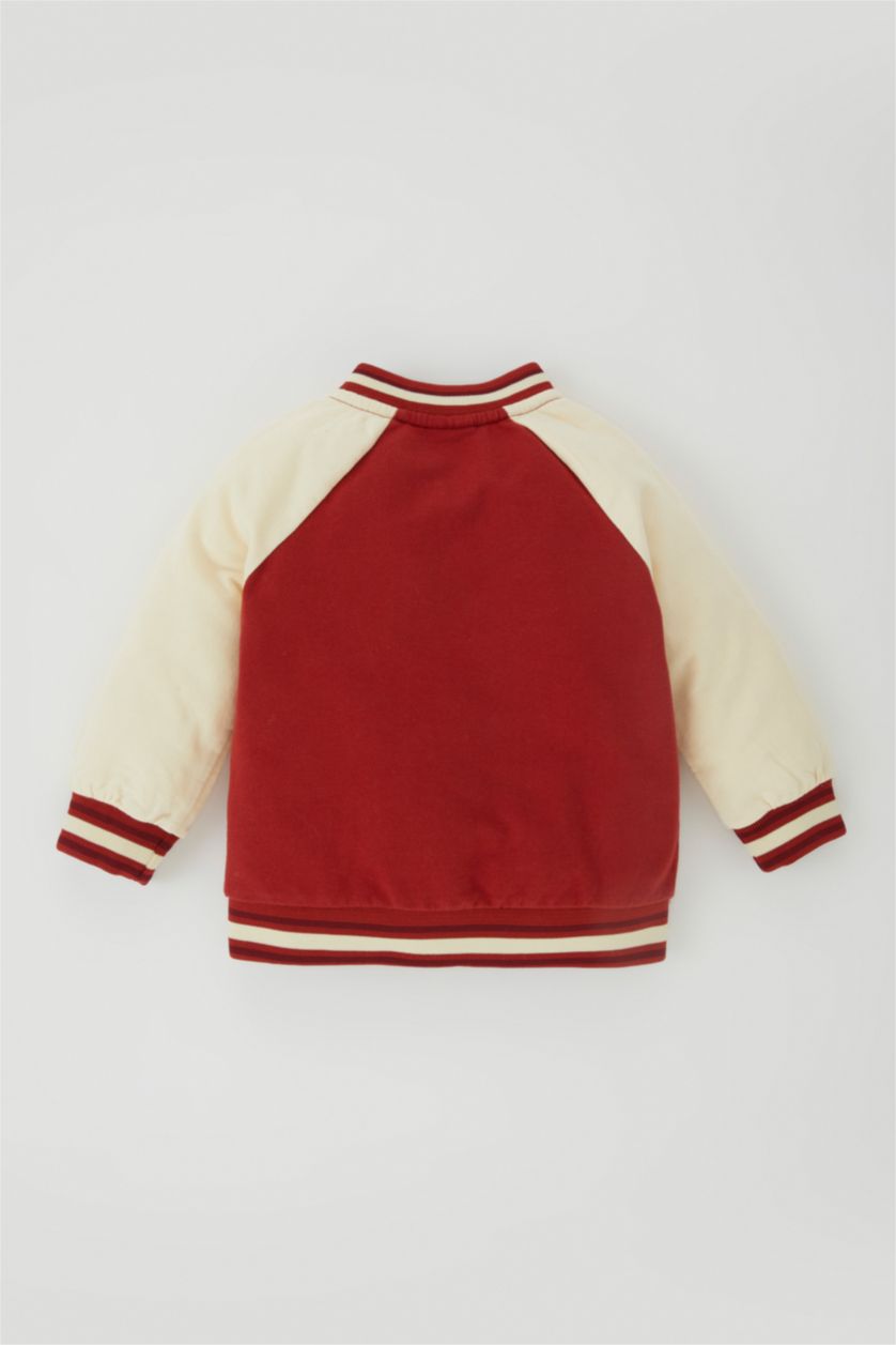 طفلة صغيرة خمري كارديجان بومبر بناتي قصة عادية