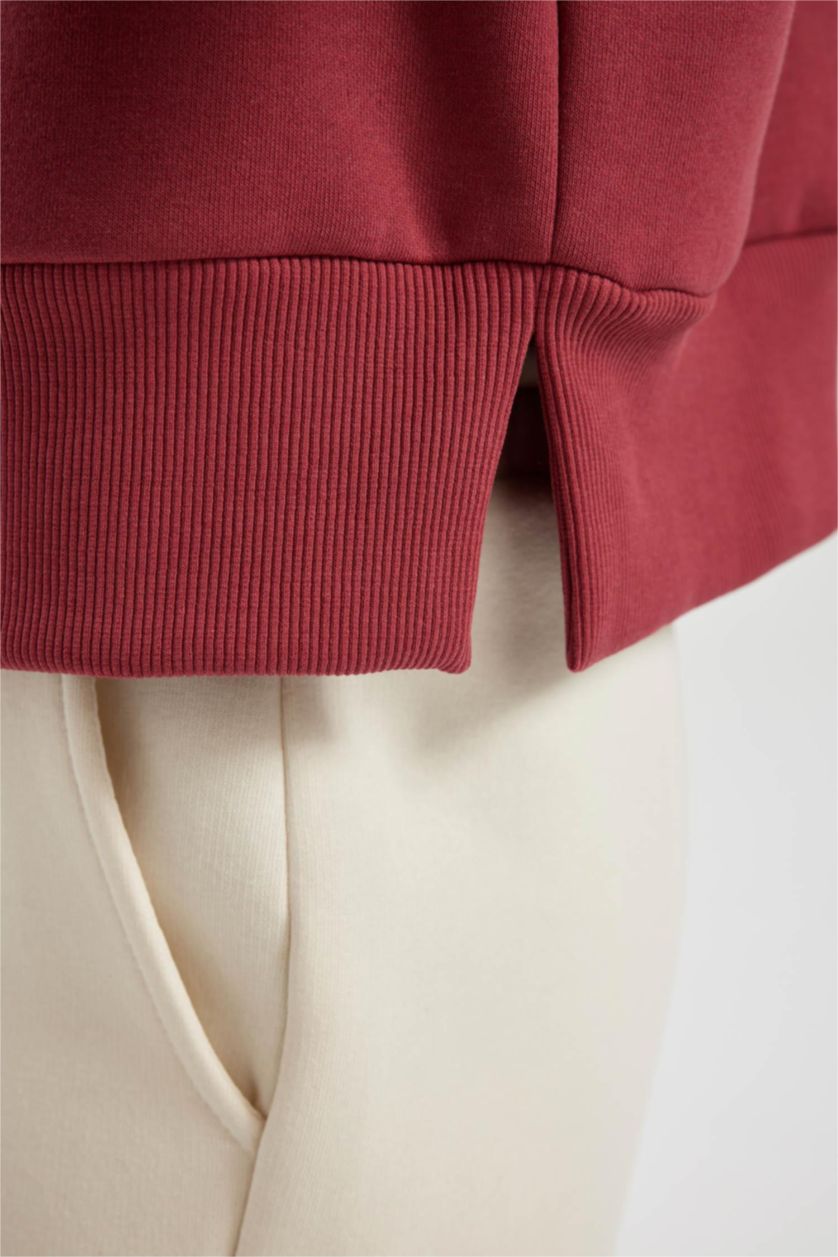 FEMME Bordeaux Clair Sweat à Capuche Manche Longue NBA