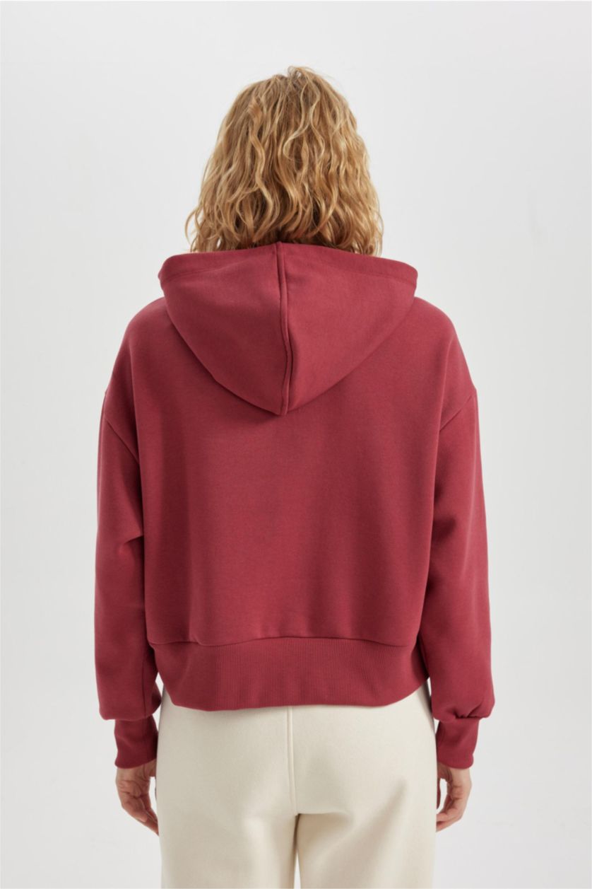 FEMME Bordeaux Clair Sweat à Capuche Manche Longue NBA