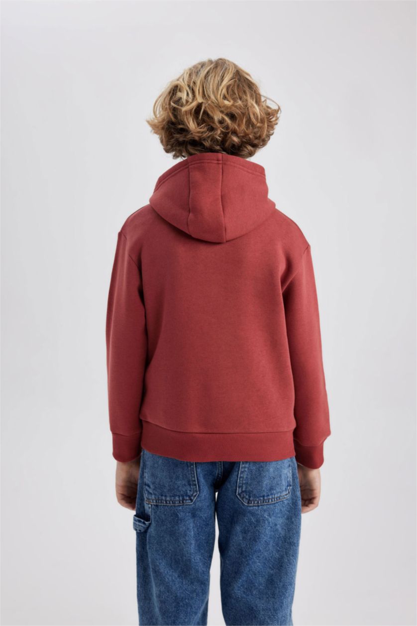 BOYS & TEENS Bordeaux Boy Hooded Printed Thick Sweatshirt