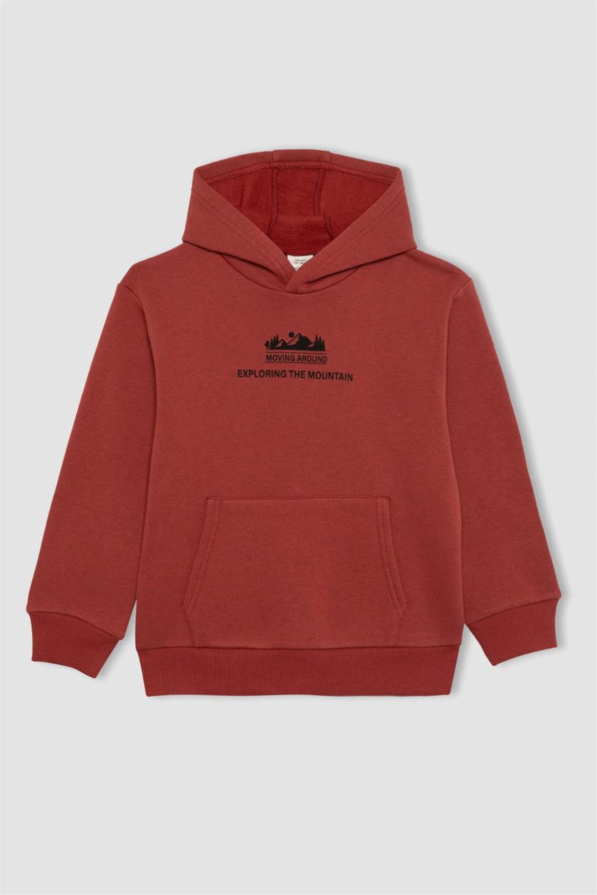 BOYS & TEENS Bordeaux Boy Hooded Printed Thick Sweatshirt