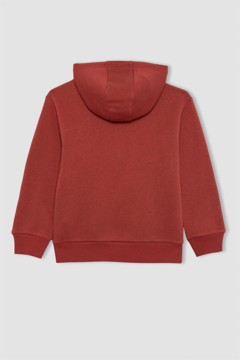 BOYS & TEENS Bordeaux Boy Hooded Printed Thick Sweatshirt